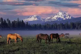 11122 Bunk House Ln, Redmond, OR 97756 - Photo 26