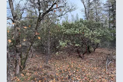 0 E Evans Creek Road #10149531, White City, OR 97503 - Photo 10