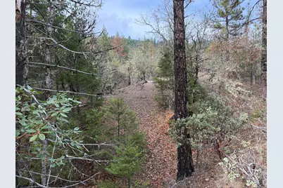 0 E Evans Creek Road #10149531, White City, OR 97503 - Photo 8