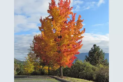 4806 Williams Highway, Grants Pass, OR 97527 - Photo 48