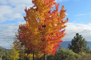 4806 Williams Hwy, Grants Pass, OR 97527 - Photo 48