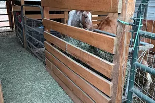 27233 Rocky Point Rd, Klamath Falls, OR 97601 - Photo 30