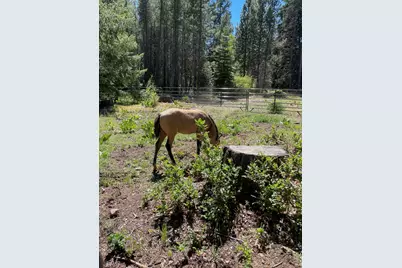 27233 Rocky Point Road, Klamath Falls, OR 97601 - Photo 34