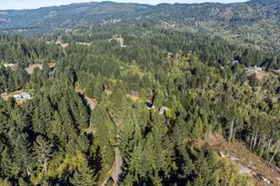 96120 Cape Ferrelo Rd, Brookings, OR 97415 - Photo 38