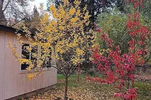 133 E Black Crater Ave, Sisters, OR 97759 - Photo 10