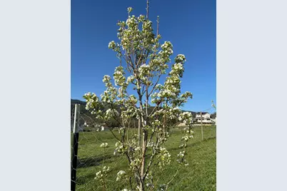 6015 Dark Hollow Road, Medford, OR 97501 - Photo 84