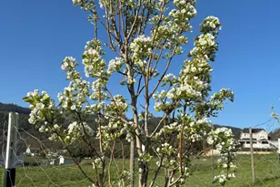 6015 Dark Hollow Rd, Medford, OR 97501 - Photo 84