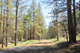 Partin Dr, Beatty, OR 97621 - Photo 1