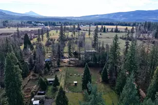 440 Red Blanket Rd, Prospect, OR 97536 - Photo 58
