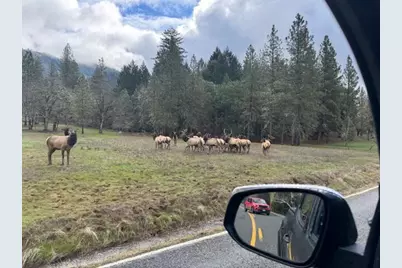 543 Serenity Lane, Grants Pass, OR 97526 - Photo 34