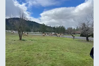 543 Serenity Lane, Grants Pass, OR 97526 - Photo 32