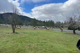 543 Serenity Ln, Grants Pass, OR 97526 - Photo 32