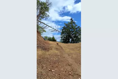 Galls Creek Road Road #301, Central Point, OR 97502 - Photo 6