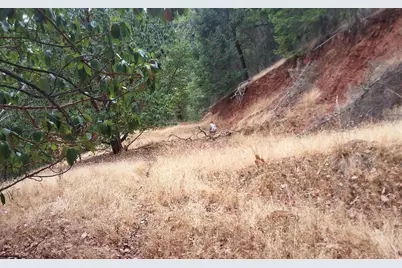 Galls Creek Road Road #301, Central Point, OR 97502 - Photo 10