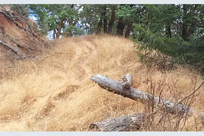 Galls Creek Road Road #301, Central Point, OR 97502 - Photo 22