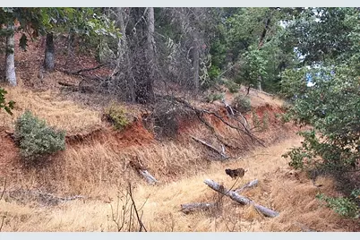Galls Creek Road Road #301, Central Point, OR 97502 - Photo 24
