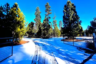 1287 Fort Jack Pine Dr, Gilchrist, OR 97737 - Photo 10