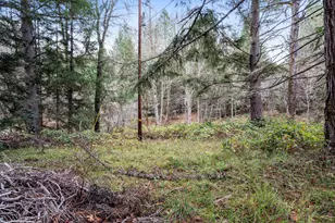 464 Sunny Glen Way, Wolf Creek, OR 97497 - Photo 34