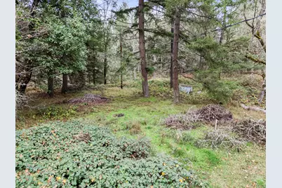 464 Sunny Glen Way, Wolf Creek, OR 97497 - Photo 36
