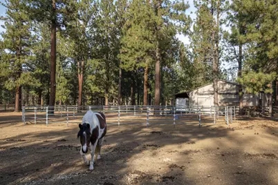 69219 Yellow Daisy Lane, Sisters, OR 97759 - Photo 44