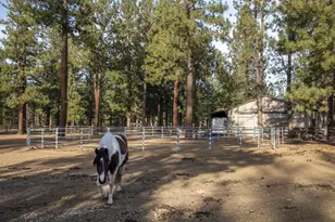 69219 Yellow Daisy Ln, Sisters, OR 97759 - Photo 44