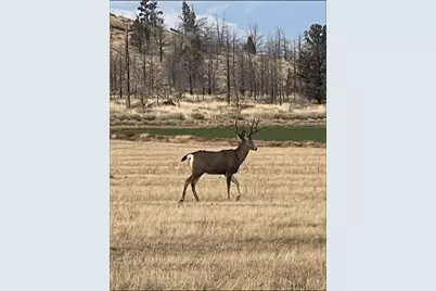 70445 NW Lower Valley Drive #100, Terrebonne, OR 97760 - Photo 8