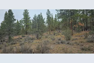 Grizzly Lane #3711-036C0-05800, Bonanza, OR 97623 - Photo 6