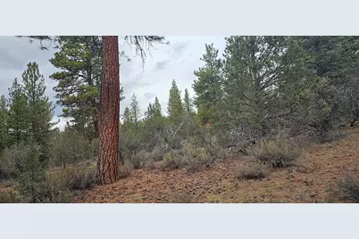 Grizzly Lane #3711-036C0-05800, Bonanza, OR 97623 - Photo 1