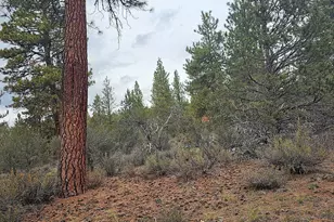 Grizzly Ln, Bonanza, OR 97623 - Photo 1