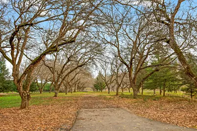 5650 Kane Creek Road, Central Point, OR 97502 - Photo 100