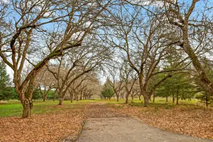 5650 Kane Creek Rd, Central Point, OR 97502 - Photo 100