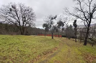 1751 Dragon Fly Ln, Ashland, OR 97520 - Photo 2