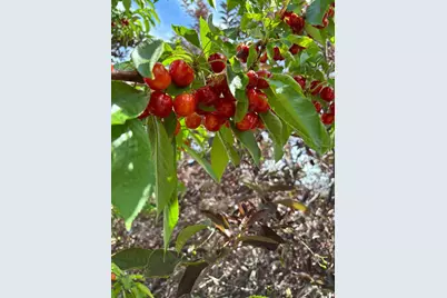 1552 NE Deedie Court, Prineville, OR 97754 - Photo 30