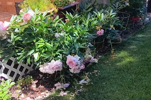 53465 Kokanee Ln, La Pine, OR 97739 - Photo 66