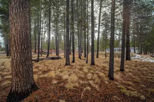 55633 Swan Rd, Bend, OR 97707 - Photo 32