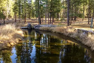 50910 Masten Rd, La Pine, OR 97739 - Photo 12