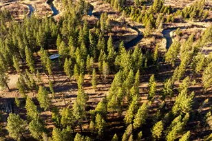 50910 Masten Rd, La Pine, OR 97739 - Photo 6