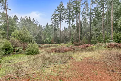 419 Idlewild Drive, Cave Junction, OR 97523 - Photo 42