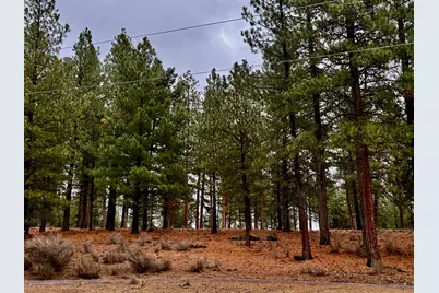 38965 Chiloquin Ridge Road, Chiloquin, OR 97624 - Photo 56