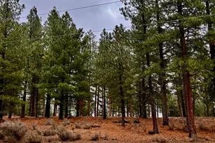 38965 Chiloquin Ridge Rd, Chiloquin, OR 97624 - Photo 56