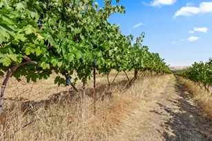 2018 Steele Rd, The Dalles, OR 97058 - Photo 16
