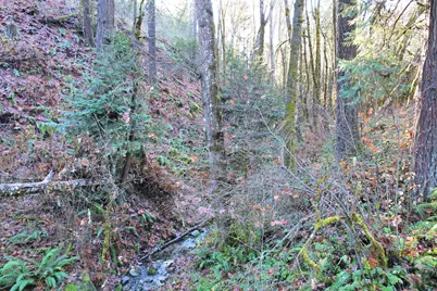 2905 Birdseye Creek Road, Gold Hill, OR 97525 - Photo 38