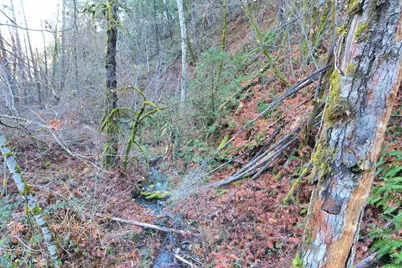 2905 Birdseye Creek Road, Gold Hill, OR 97525 - Photo 42