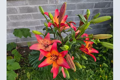 1215 NE A Street NE, Grants Pass, OR 97526 - Photo 46