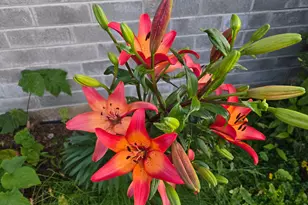 1215 NE A Street NE, Grants Pass, OR 97526 - Photo 46