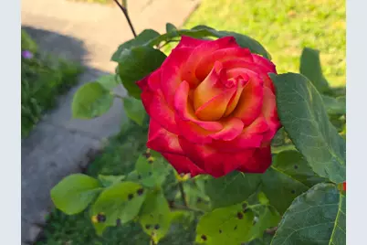 1215 NE A Street NE, Grants Pass, OR 97526 - Photo 42