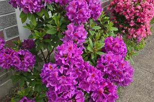 1215 NE A Street NE, Grants Pass, OR 97526 - Photo 48