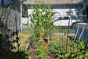 1215 NE A Street NE, Grants Pass, OR 97526 - Photo 50