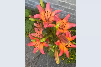 1215 NE A Street NE, Grants Pass, OR 97526 - Photo 44