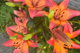 1215 NE A Street NE, Grants Pass, OR 97526 - Photo 44